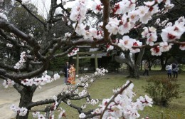 После землетрясения 2011 года Япония сместилась на восток на 5 метров