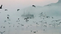 В Аргентине за незаконный лов рыбы было потоплено китайское судно