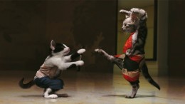 Абсурдные новости