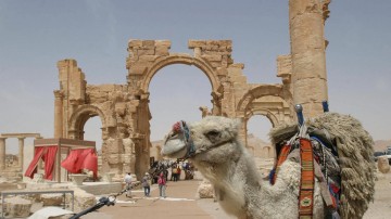 Сподобится ли интеллигенция сказать Путину «спасибо» за Пальмиру?