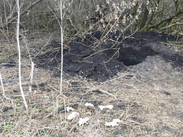 Убийцы адвоката Грабовского могут стать депутатами Рады