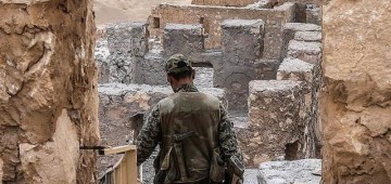 Пальмира первенства