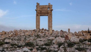 Россия окажет поддержку: как будут разминировать Пальмиру?