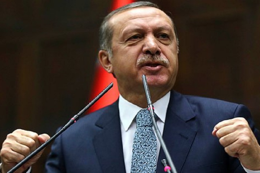 Руководство турции