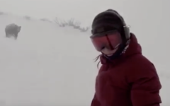 Сноубордистка не заметила, как сняла гнавшегося за ней медведя — видео