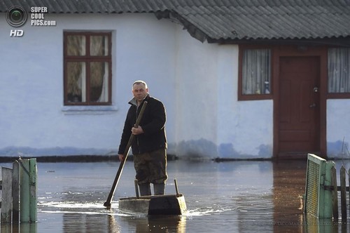 Лысая самостийность. Как скоро Украина останется без лесов? Лысая самостийность. Как скоро Украина останется без лесов?
