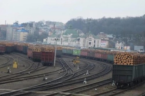 Лысая самостийность. Как скоро Украина останется без лесов? Лысая самостийность. Как скоро Украина останется без лесов?