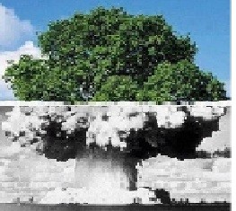 Чужая глобализация.