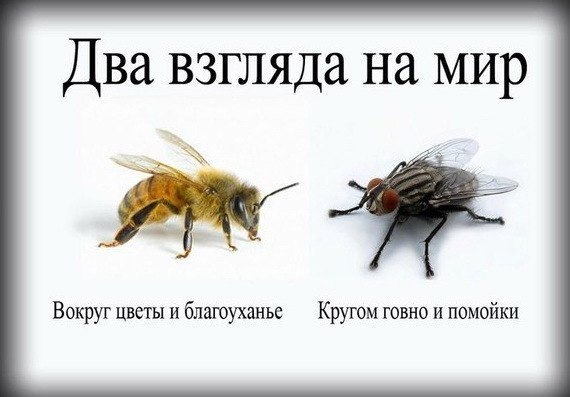 "Отсталая" Россия
