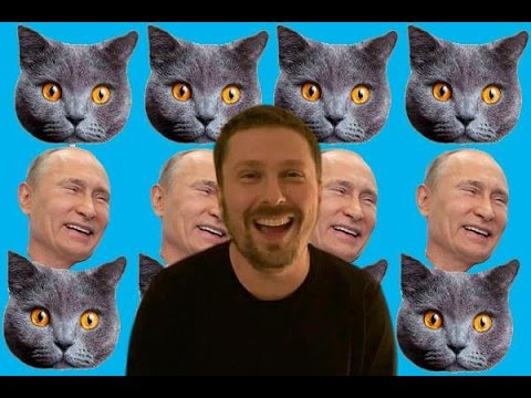 Котики, Путин и лопата