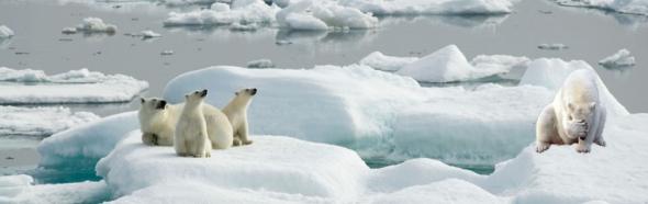 Любопытные истории слов и выражений