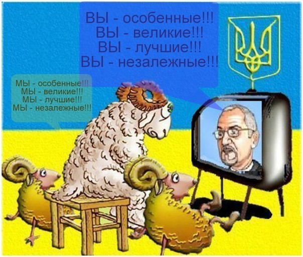 Колония одноразового использования