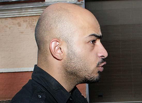 Болонки в шоке Болонки в шоке