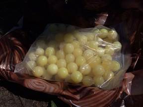 Беглый украинский активист из Севастополя был задержан СБУ за контрабанду янтаря на миллион гривен Беглый украинский активист из Севастополя был задержан СБУ за контрабанду янтаря на миллион гривен