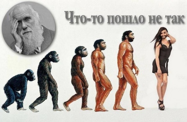 Итоги реформы образования — ликвидация предметов