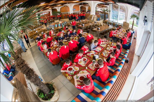 Артековская столовка