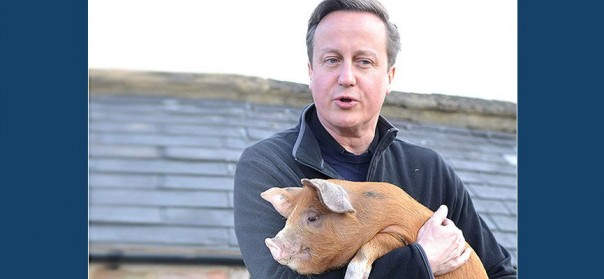 Кэмерона выставили на продажу на eBay "за ненадобностью"