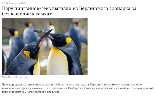 Новости дня от Юлии Витязевой 14.04.2016 Новости дня от Юлии Витязевой 14.04.2016