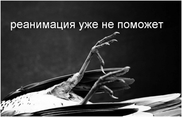 Бесполетная зона для ВВС США уже создана. Юрий Селиванов Бесполетная зона для ВВС США уже создана. Юрий Селиванов