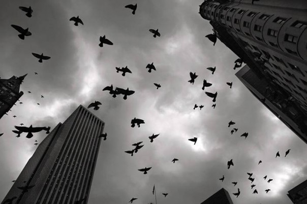 Самоубийства в США 1999-2014