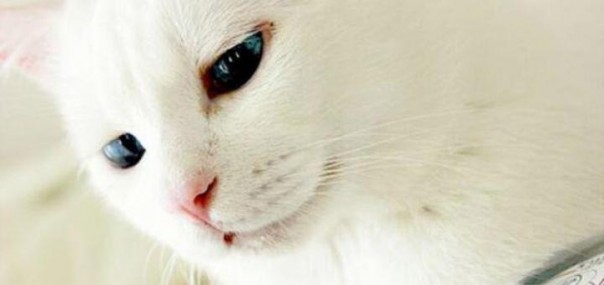 Вася пОжил, Вася на нас … полОжил Вася пОжил, Вася на нас … полОжил