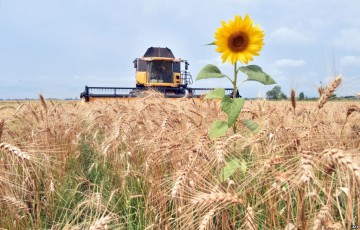 Бизнесмены из Италии и Туниса попросили у крымского правительства 500 га для размещения сразу нескольких сельхозпредприятий