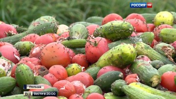 В Польше бесплатно раздают яблоки