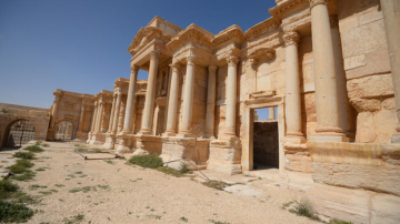 В ЮНЕСКО единогласно одобрили проект России по сохранению Пальмиры