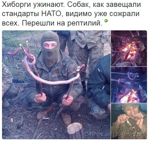 Потерь НЕТ - терять некого! Потери укрофашистов с 1 по 30 апреля (Фото)