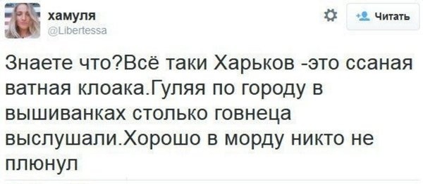Дайджест села КуКуева. Без пафоса, но с мимикрией Дайджест села КуКуева. Без пафоса, но с мимикрией