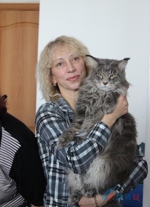 Заводчики из ЛНР и ДНР представили на выставке в Луганске более 40 котов и кошек Заводчики из ЛНР и ДНР представили на выставке в Луганске более 40 котов и кошек