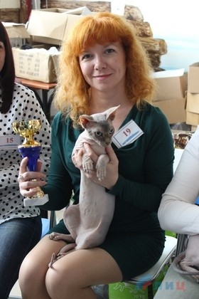 Заводчики из ЛНР и ДНР представили на выставке в Луганске более 40 котов и кошек Заводчики из ЛНР и ДНР представили на выставке в Луганске более 40 котов и кошек