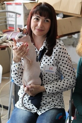 Заводчики из ЛНР и ДНР представили на выставке в Луганске более 40 котов и кошек Заводчики из ЛНР и ДНР представили на выставке в Луганске более 40 котов и кошек