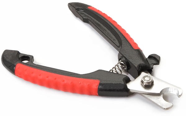 Злой попугай (истории)