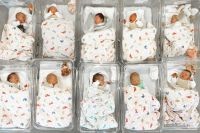 Дельфин шагает по Ростову. Мешают ли детям редкие имена