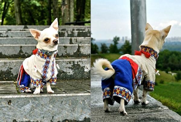 День вышиванки - гуляют все! День вышиванки - гуляют все!