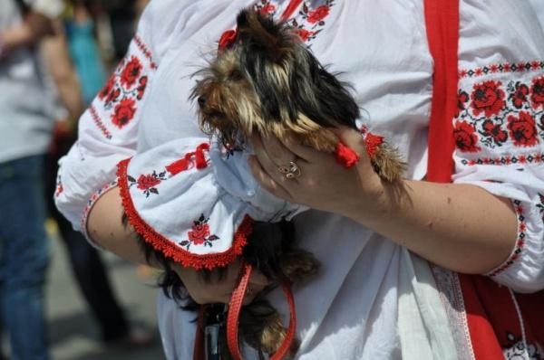 День вышиванки - гуляют все! День вышиванки - гуляют все!