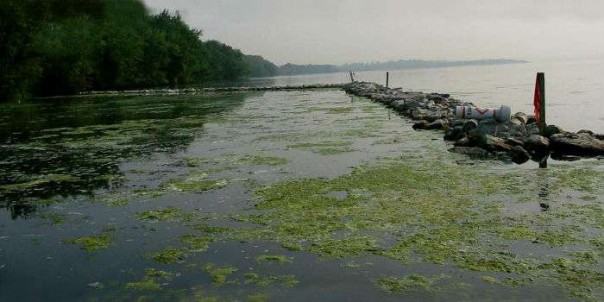 Ужасы украинских городов: «яд», который течет из крана