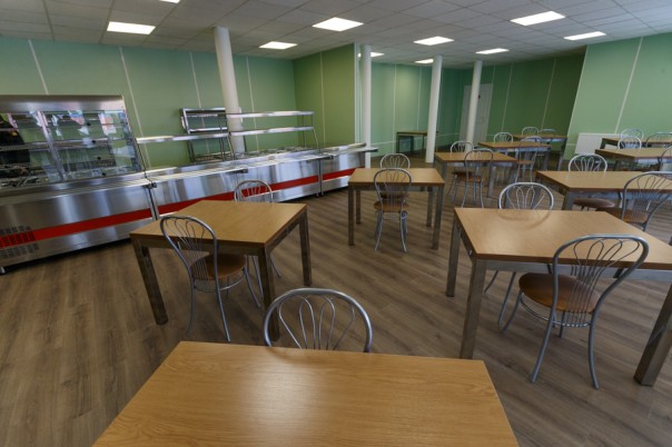 Арктический трилистник Арктический трилистник