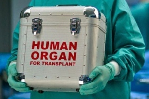 Украинцы попадут в Европу частями. Рада одобрила закон об изъятии органов