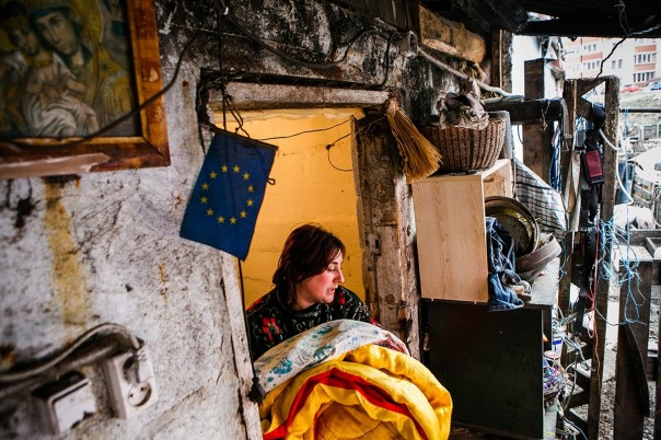 Киевский зверополис Киевский зверополис