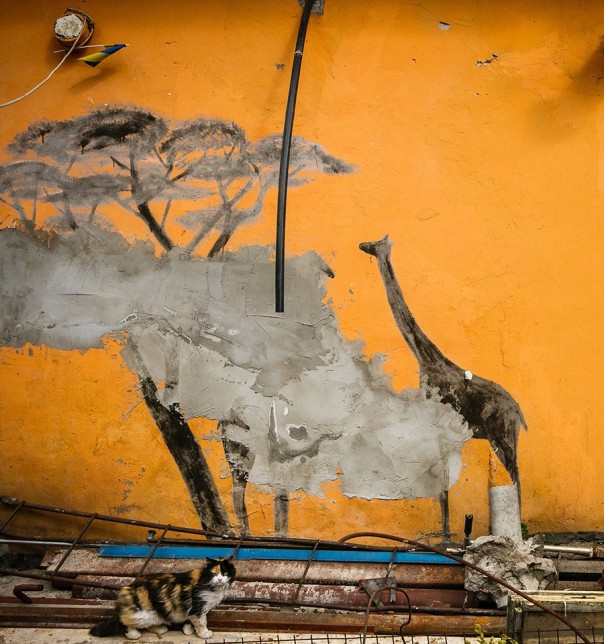 Киевский зверополис Киевский зверополис