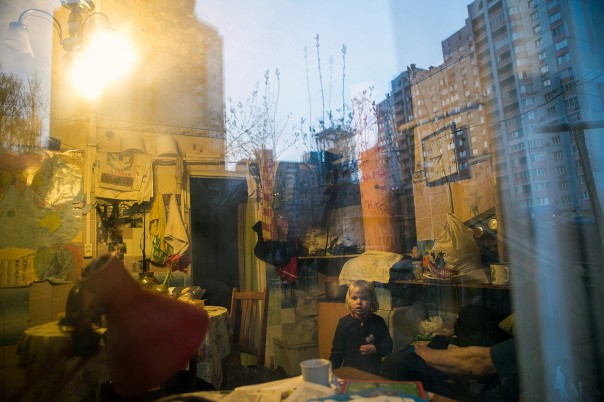 Киевский зверополис Киевский зверополис