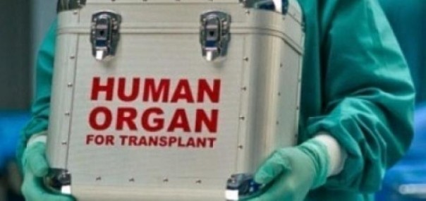 Украина решила торговать украинцами Украина решила торговать украинцами