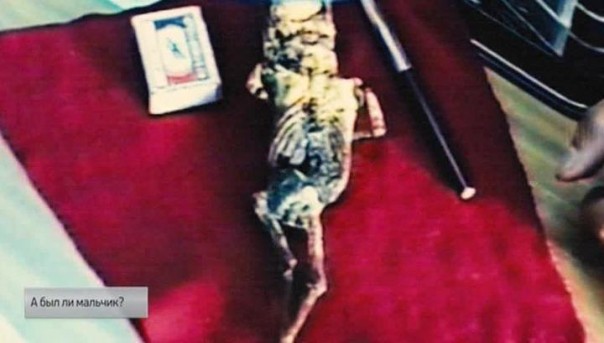А был ли мальчик? Специальный репортаж Ксении Кибкало