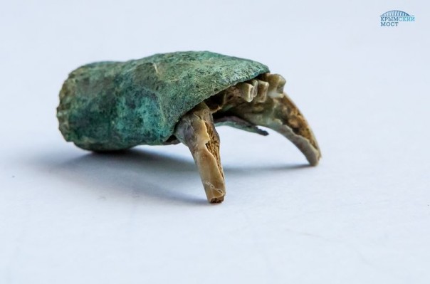 Археологи нашли клад из испанских серебряных монет XVII века на месте будущего автоподхода к Крымскому мосту (ФОТО) Археологи нашли клад из испанских серебряных монет XVII века на месте будущего автоподхода к Крымскому мосту (ФОТО)