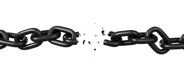 Злой попугай (истории)