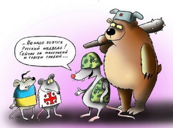 НАТО опровергло планы создать особый статус для Украины и Грузии