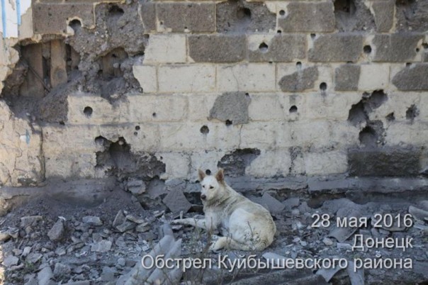 Куйбышевский район г. Донецк. Последствия обстрела укрофашистами (28-05-2016) Куйбышевский район г. Донецк. Последствия обстрела укрофашистами (28-05-2016)