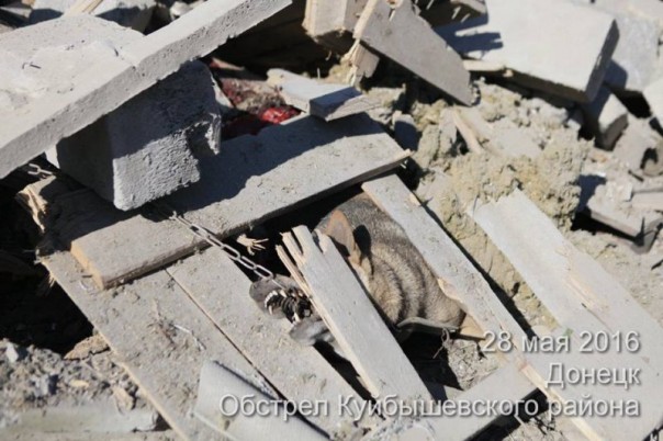 Куйбышевский район г. Донецк. Последствия обстрела укрофашистами (28-05-2016) Куйбышевский район г. Донецк. Последствия обстрела укрофашистами (28-05-2016)